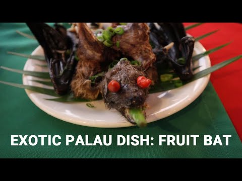 What does a Fruit Bat taste like? | MogMog Restaurant