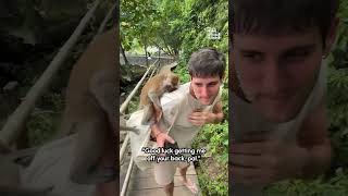 Primates or Nightmare? Part 2