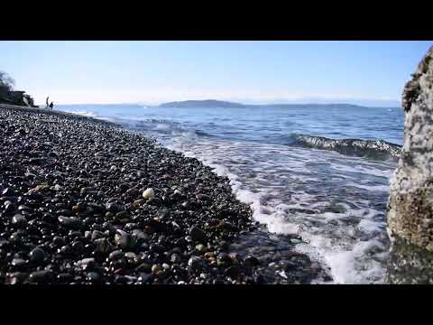 Time and tide wait for no man. Geoffrey Chaucer