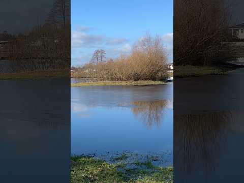 Polana Zalana - #shorts #short #viral #viralvideo #europe #poland #crazy #foryou #viralshorts #reels