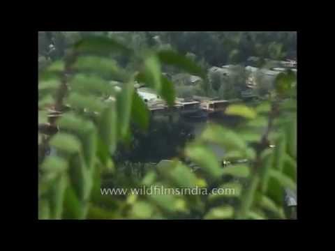 Tyndale Biscoe School - Dubai Reunion Presentation