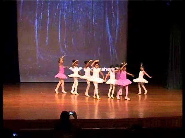 National Ballet Academy and Trust of India vidéo #1