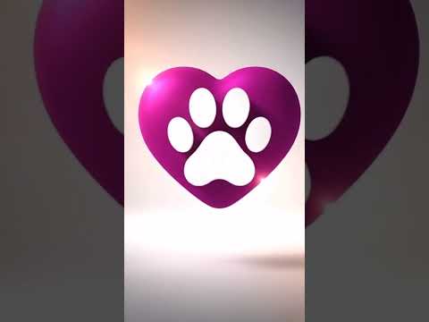 Vídeo de Max e Zoe