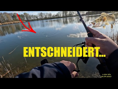 Entschneidert - Esox rettet den Angeltag ! Angeln im April auf Barsch in Brandenburg ....