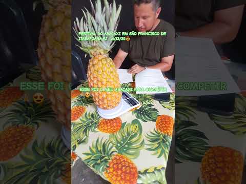Primeiro festival do abacaxi de São Francisco de Itabapoana RJ, Estou participando 🙏