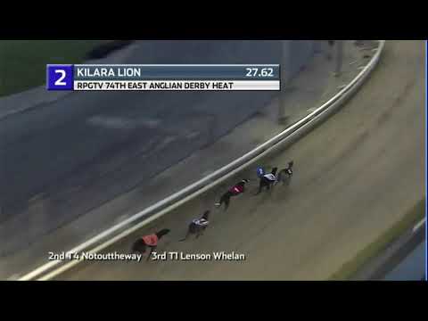 2020 RPGTV EAST ANGLIAN DERBY HEAT 2 - T2 KILARA LION