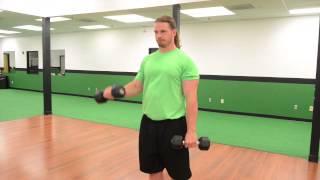 401. Alternating Dumbbell Reverse Curls