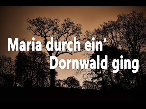 Maria durch ein' Dornwald ging (GL224) - zum Mitsingen mit Text