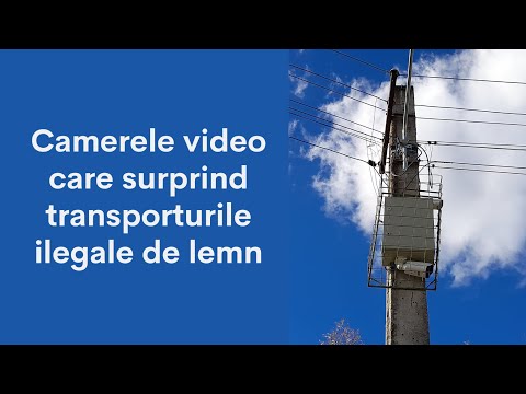 Camerele video care surprind transporturile ilegale de lemn (Ghimeș-Făget, județul Bacău)