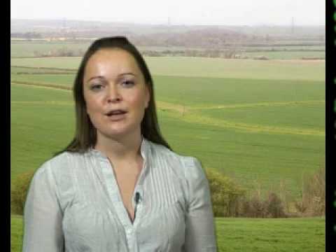 FWi News Review 5 December 2008