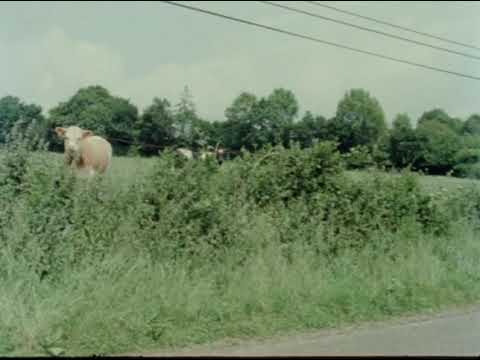 Too Early / Too Late (1982)