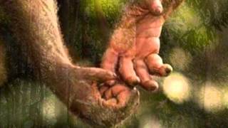 If You Won't Be Mine - Owen Moore