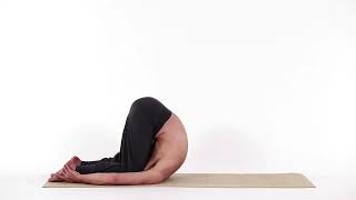 ARATRO – HALA ASANA