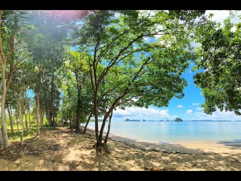 Amazing Beachfront Land Plot for Sale in Thalane, Krabi