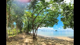 Amazing Beachfront Land Plot for Sale in Thalane, Krabi