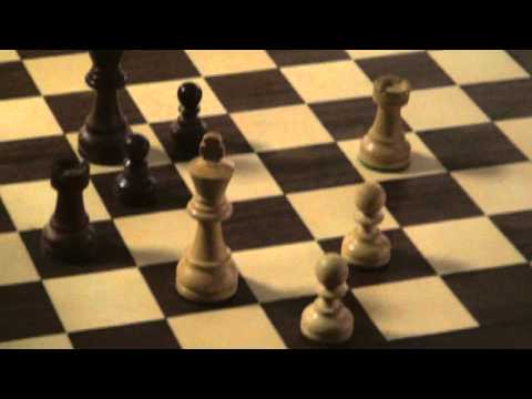 CH16 3.6. Tomáš Sklárš - Adam Novotný 0 - 1