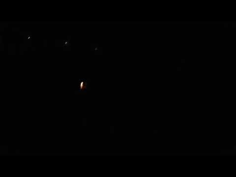 Tropic 4 " inch golden peony