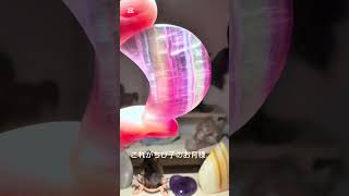 #天然石 #購入品紹介 #フローライト