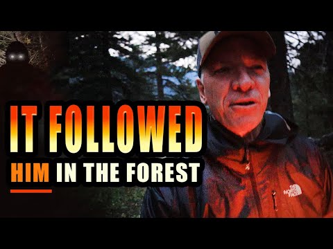 FRIGHTENING Encounter in MONTANA Wilderness with Solo Hiker | Plus Mountain Hike