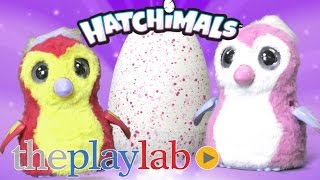 Hatchimals