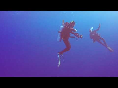 Red Sea - Liveaboard Trip - Brothers, Daedalus, Elphinstone - Nov 2018