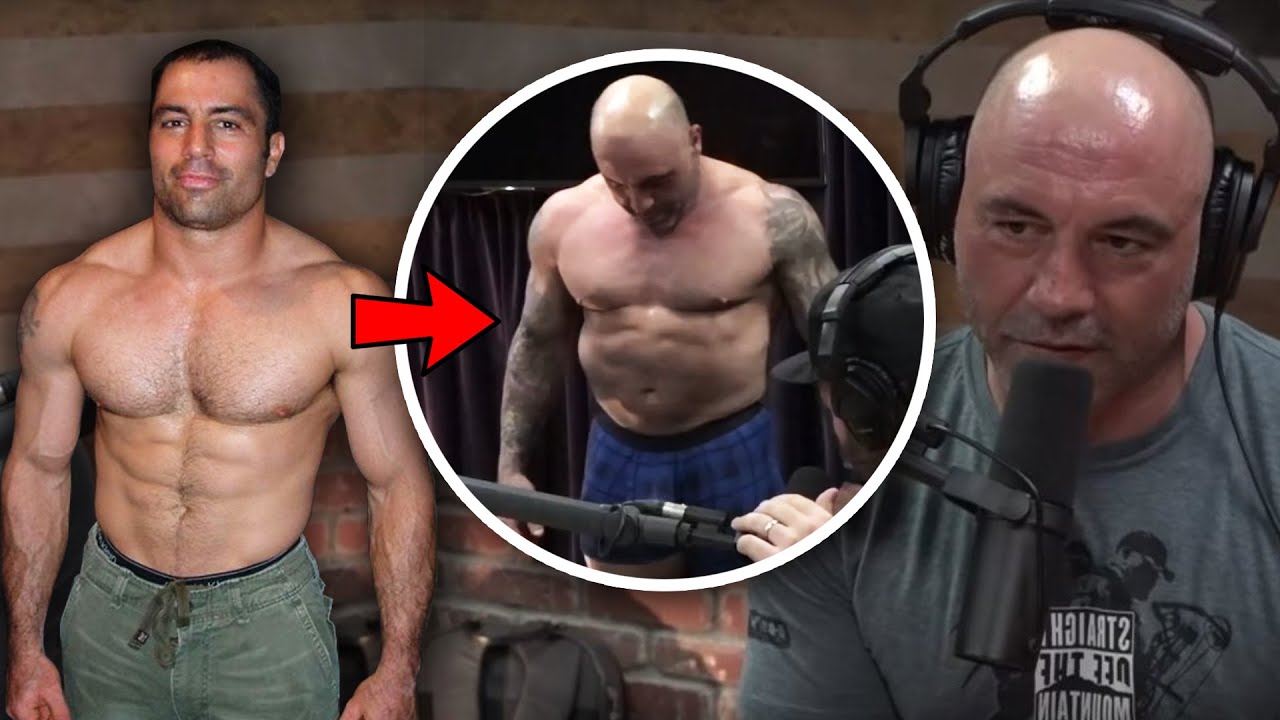 The Cause Of Joe Rogan's Bubble Gut | Palumboism