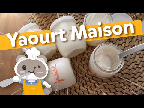 Homemade yogurt with three flavors (strawberry, coconut, lavender) in the yogurt maker