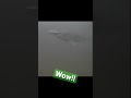 Video Thumbnail for Pike Are Pigs