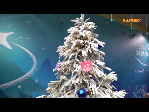 Новогодний шар с мечтой: «Елка желаний» стартовала в Магаданской области