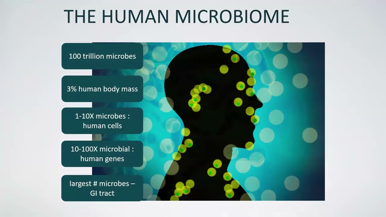 Diet and the Microbiome Across the Cancer Journey