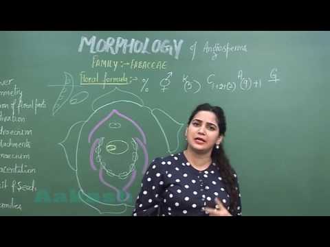 Morphology of Angiosperms-II_Families