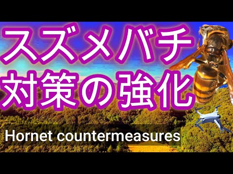 経済学科 晴蜂雨読 No. 62／キイロスズメバチ対策をこの夏に強化しました／ 2025年8月、その3／山崎亮一／字幕付き／Thoughts on the Japanese yellow hornet