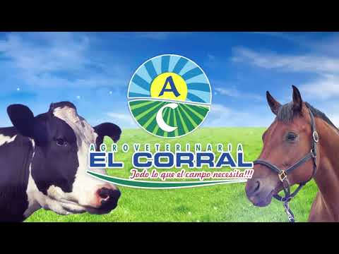 AIPE HUILA - AGROVETERINARIA EL CORRAL