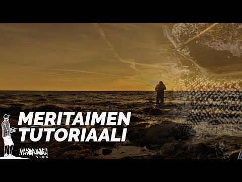 MERITAIMENTA RANNALTA 2025