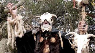 Tentation - Shaman