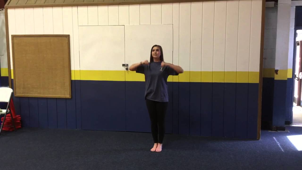 Tryout Cheer (2016-2017)