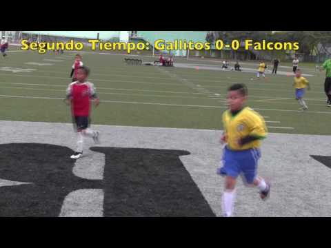 Gallitos FC 1-0 Falcons Final