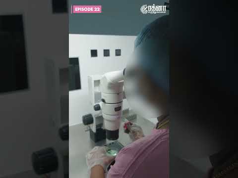 Web Series 22