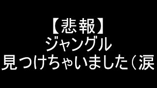 Seroのマインクラフト実況プレイPART249　「悲報」ジャングル動画外で見つけちゃいました（涙