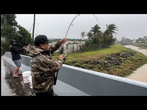 Freshwater Eel Fishing in Guam {Catch, Clean, Cook} #eelfishing #eelcatching #outdoorchef #guamlife