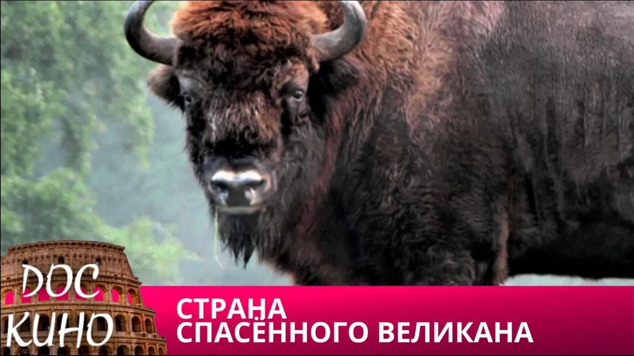 🎭СТРАНА СПАСЁННОГО ВЕЛИКАНА🌎 ДОКУМЕНТАЛЬНОЕ КИНО 🎆 2021