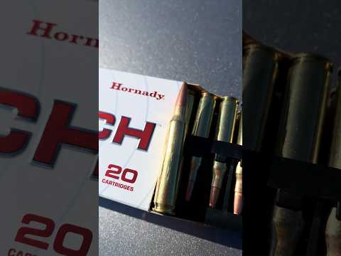 308 Winchester Hornady Black A-MAX Ballistics Gel Ammo Test