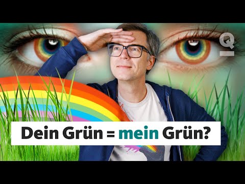 Sehen wir alle die gleichen Farben? | Quarks Dimension Ralph