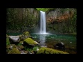 Tao H - Dreamer