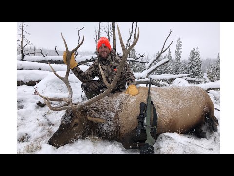 300 Win Mag vs 6.5 Creedmoor For Elk Hunting