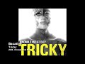 Tricky - Bacative [2008 - Knowle West Boy]