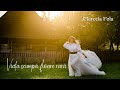 MarcelaFotaOficial ️ Viață Scumpă Floare Rară ️