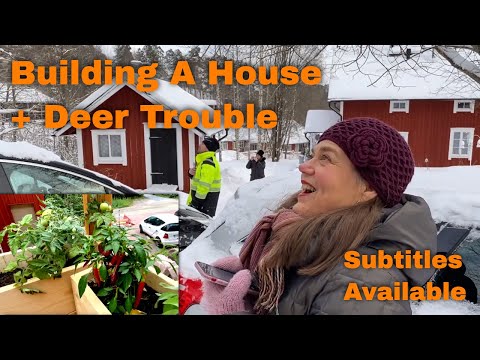 Learn Finnish Through Vlogs: Building a House + Trouble With Deer in The Garden