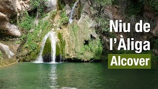 preview picture of video 'Niu de l'Àliga / Nido del Aguila Alcover - Tarragona (Full HD)'