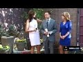 News Anchor And Weather Woman Have Awkward Fight On Live TV